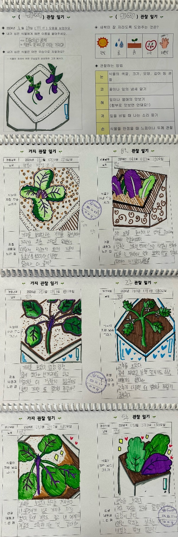 3학년 호앎인 프로젝트 주간 운영