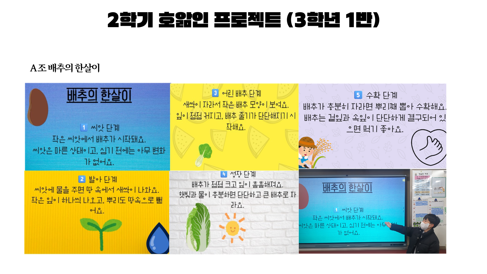 2학기 3학년 호앎인 프로젝트